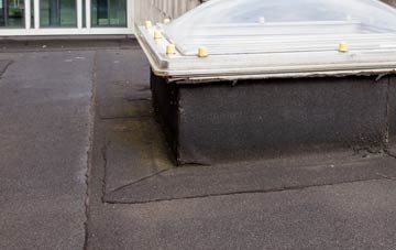disadvantages of Laminess flat roofs