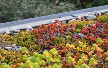 the cost of Laminess green roof installation