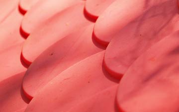 Laminess plastic roof costs