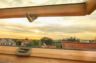 rated Laminess roof window companies